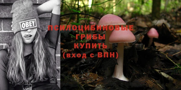 таблы Осташков