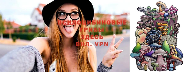 хмурый Весьегонск