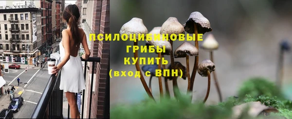 тгк Осинники